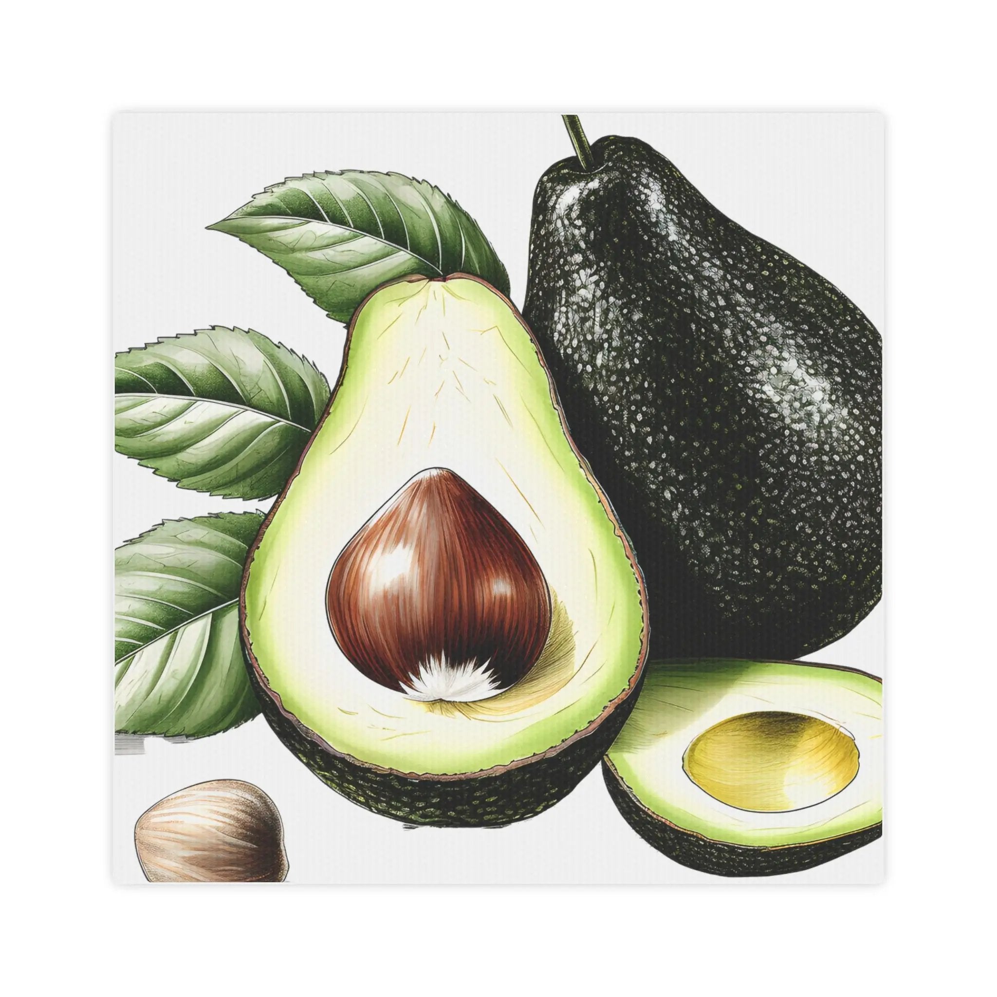 Canvas Gallery Wraps | an avocado, an eggplant, and a shell on a white