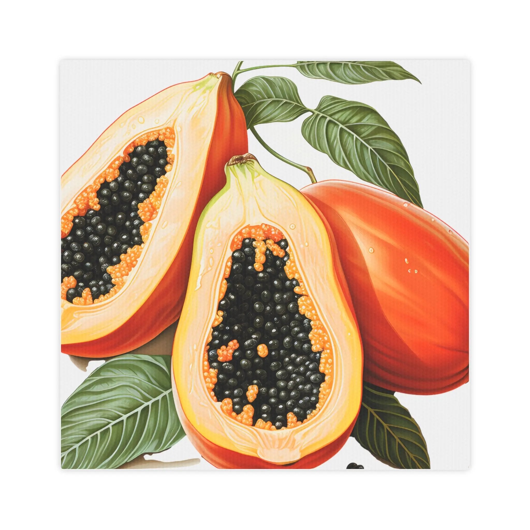 Canvas Gallery Wraps | a painting of a pomegranate on a white background