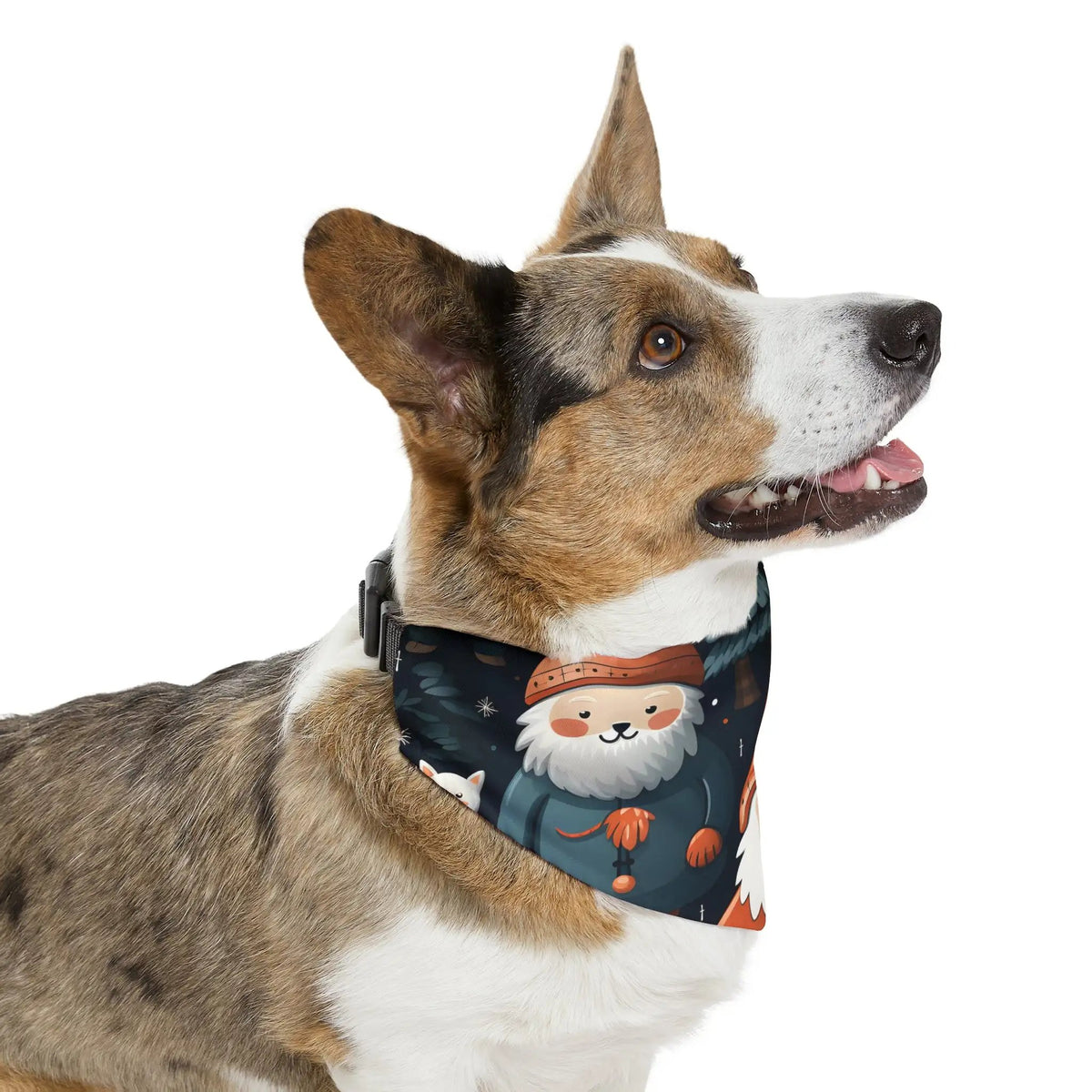 Pet Bandana | a brown and white dog wearing a bandana