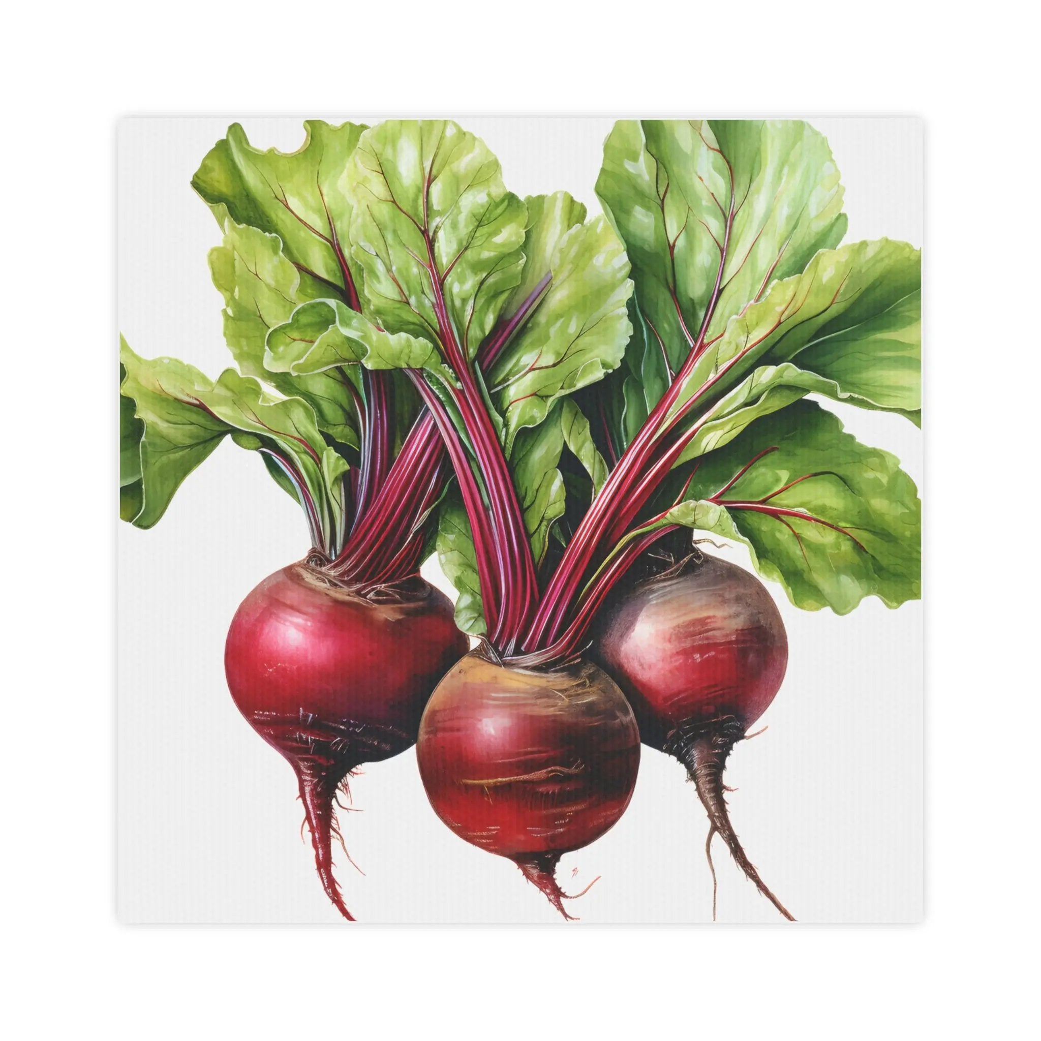 Canvas Gallery Wraps | a painting of three radishes with green leaves