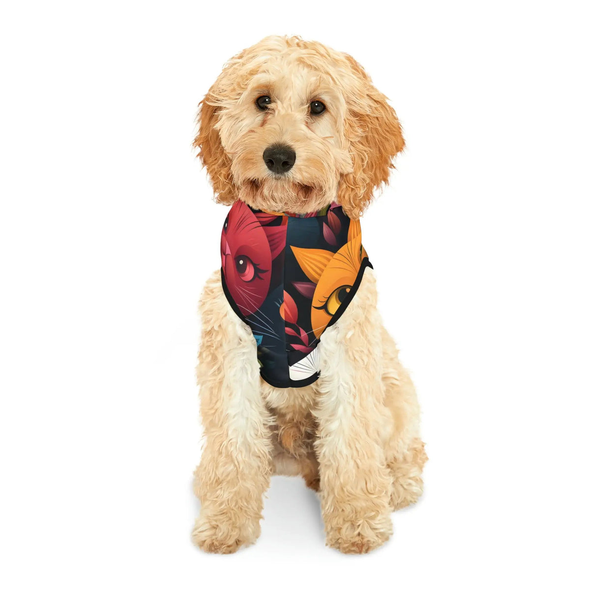 Pet hoodie | a small dog wearing a bandana on a white background