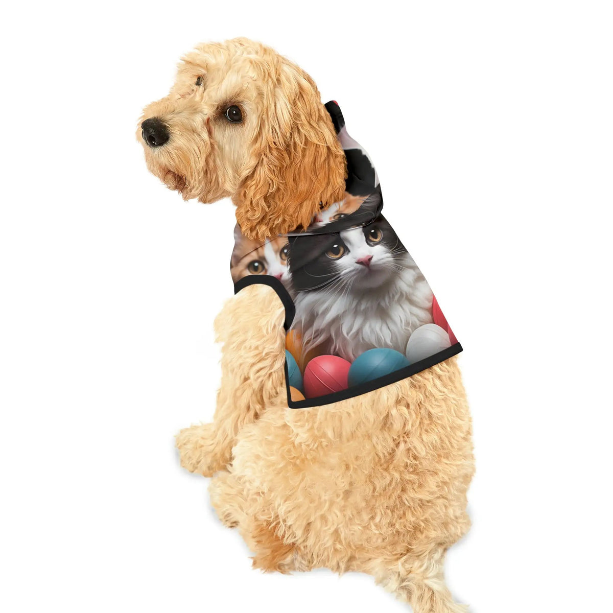 Pet hoodie | a dog wearing a shirt with a picture of a cat on it